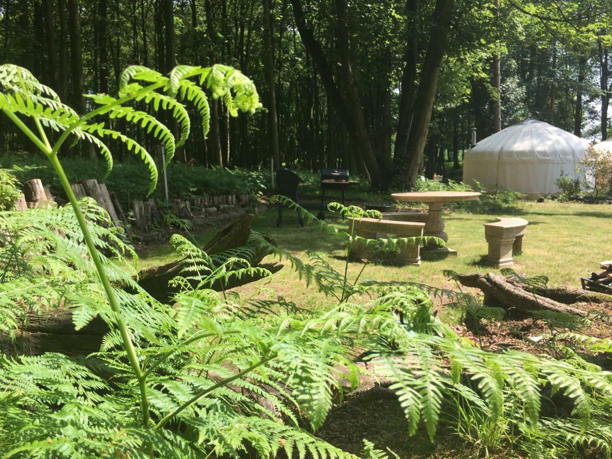 Gingerbread Cottage Yurts Dereham Exterior photo